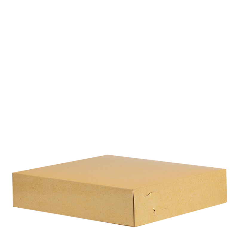 Intertan Takeaway Box Metalised PET / 125 Boxes / 20x20x8cm Plain Kraft Grill Box T20