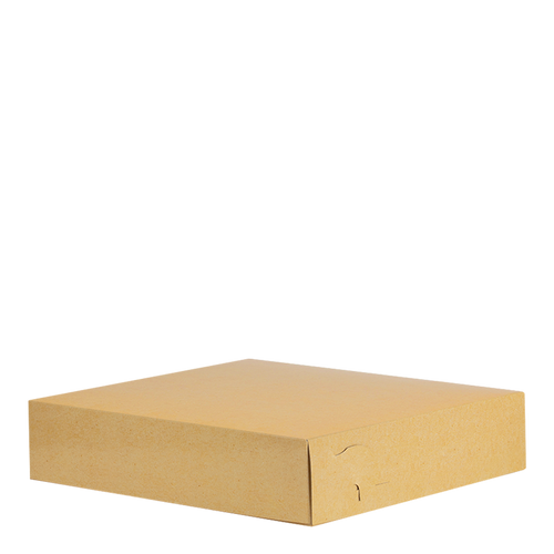 Intertan Takeaway Box Metalised PET / 125 Boxes / 20x20x8cm Plain Kraft Grill Box T20