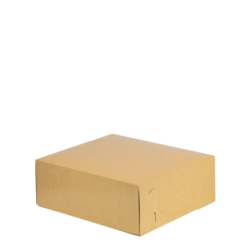 Intertan Takeaway Box Metalised PET / 128 Boxes / 19x14.5x8cm Plain Kraft Grill Box T3