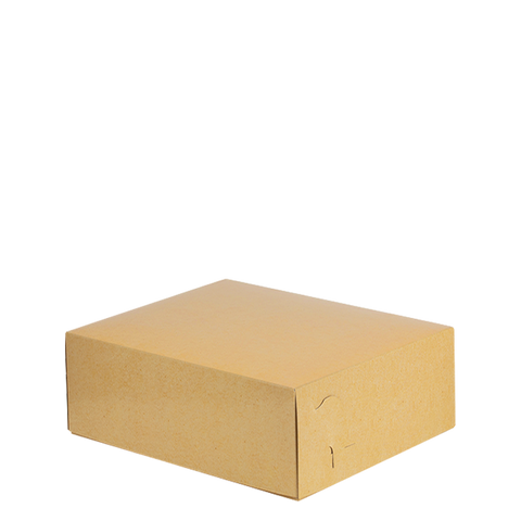 Intertan Takeaway Box Metalised PET / 257 Boxes / 14x10.5x4.8cm Plain Kraft Grill Box T42