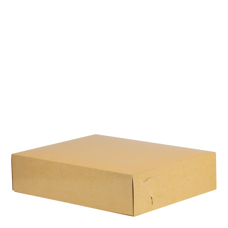 Intertan Takeaway Box Metalised PET / 107 Boxes / 25x17.5x6cm Plain Kraft Grill Box T44