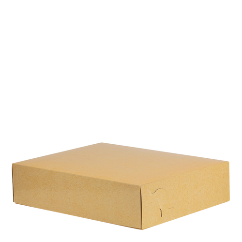 Intertan Takeaway Box Metalised PET / 107 Boxes / 25x17.5x6cm Plain Kraft Grill Box T44