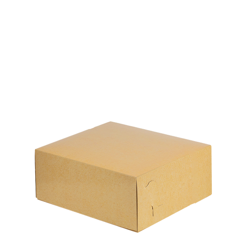 Intertan Takeaway Box Metalised PET / 166 Boxes / 16x13.5x6cm Plain Kraft Grill Box T8